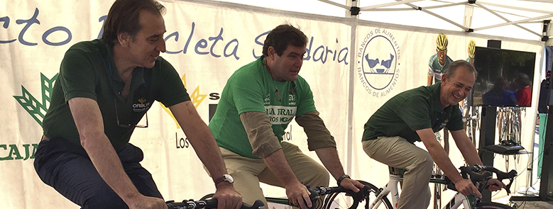 Más de 2000 personas participan en la ‘Bicicleta solidaria’ en Sevilla de Caja Rural del Sur-Seguros RGA convirtiendo sus pedaleos en alimentos