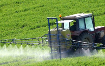 La transformación de la agricultura andaluza de la extracción a la transformación