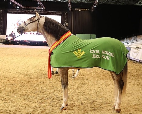 El caballo “Yucatán de Ramos”, Campeón del Mundo en SICAB 2018