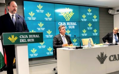 Caja Rural del Sur refuerza su posición de solvencia con un ratio del 19,80% y se vuelca en el crédito al crecer un 11% hasta los 460 millones en 2019
