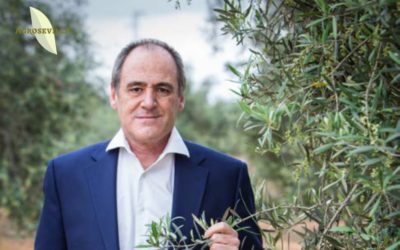 Entrevista a Julio Roda, director general de Agrosevilla:  “Los clientes internacionales valoran la marca España de las aceitunas en todo el mundo”