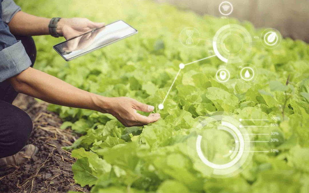 La revolución digital del campo: estas son las mejores tecnologías agrícolas   