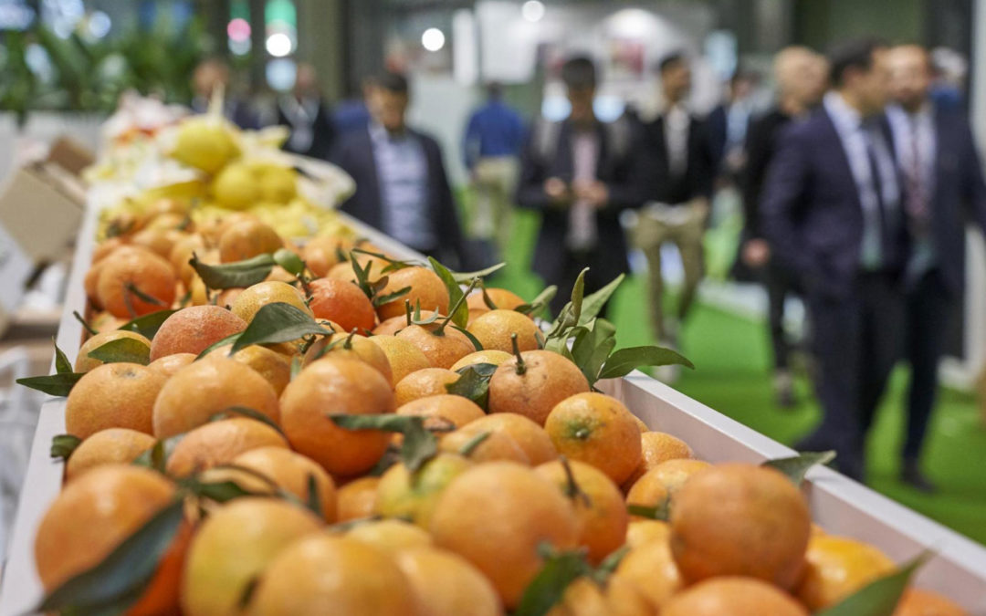 Fruit Attraction 2021: la comercialización hortofrutícola en España