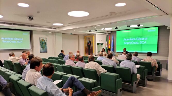 La cooperativa Seprocoop celebra su Asamblea General en Caja Rural del Sur en Sevilla