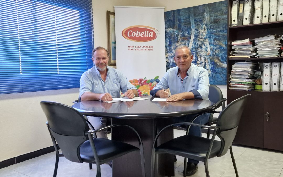 Caja Rural del Sur y Cobella firman un importante acuerdo para la próxima campaña agrícola