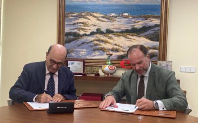 DOP Estepa y Fundación Caja Rural del Sur defienden el valor del sector oleícola en el actual escenario del agro andaluz