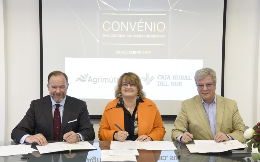 Caja Rural del Sur obtiene la licencia para operar en Portugal y continuar su expansión