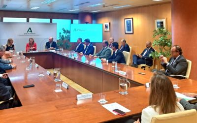 Caja Rural del Sur participa en una reunión con la Consejera de Economía, Carolina España, y las principales entidades financieras