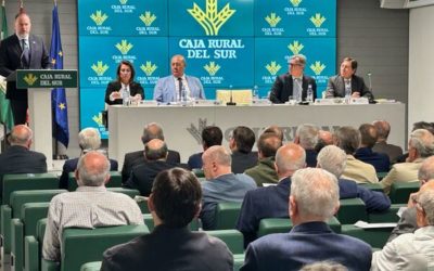 Caja Rural del Sur cierra 2023 con un crecimiento de cuota de mercado y volumen de negocio de más de 1.100 millones de euros