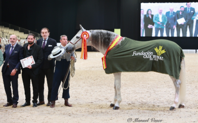 Entregamos el trofeo al caballo Campeón del Mundo de SICAB 2024