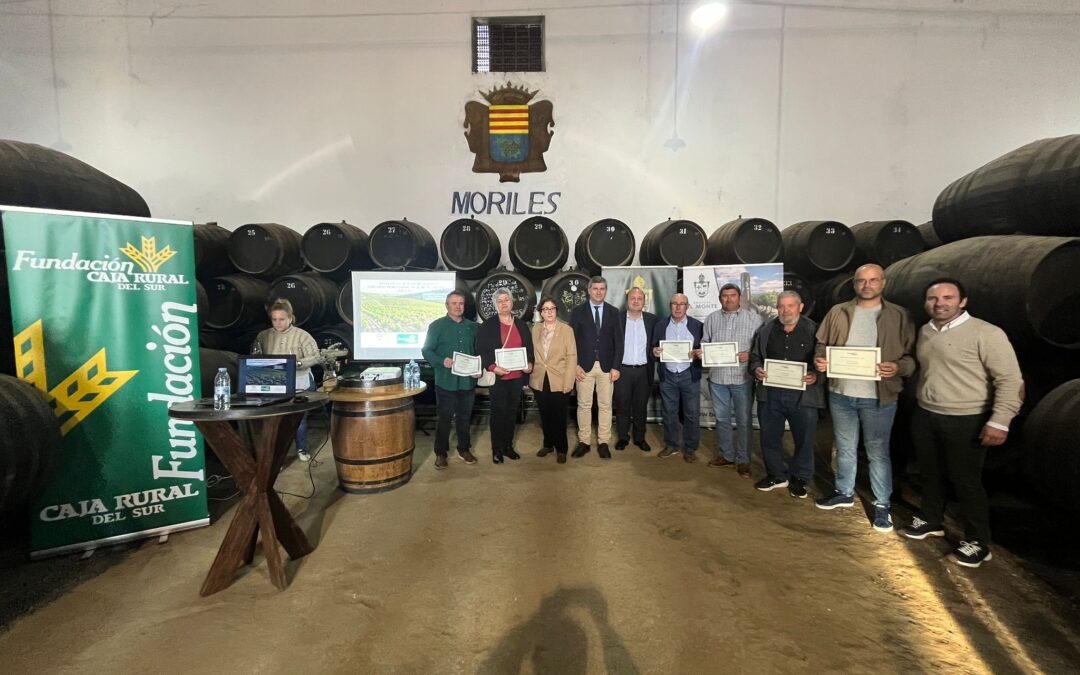 Los Premios Mildiu, promovidos por la Fundación Caja Rural del Sur, reconocen la excelencia en el sector vitivinícola en Moriles