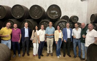 Caja Rural del Sur apoya al sector vitivinícola de Trebujena tras los daños por mildiu en la vendimia 2025