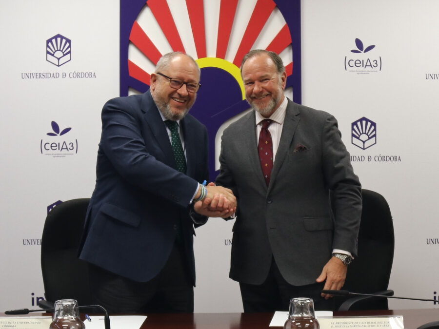 La UCO y Caja Rural del Sur firman un convenio para impartir el Diploma de Especialización en Servicios y Mercados Financieros